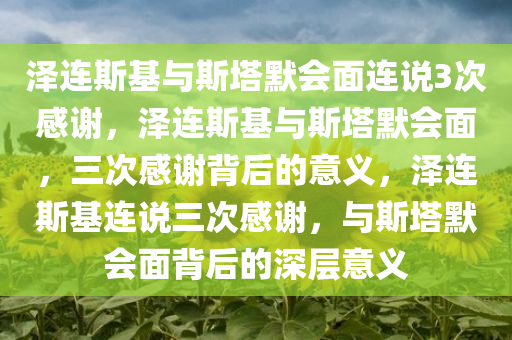 泽连斯基与斯塔默会面连说3次感谢，泽连斯基与斯塔默会面，三次感谢背后的意义，泽连斯基连说三次感谢，与斯塔默会面背后的深层意义