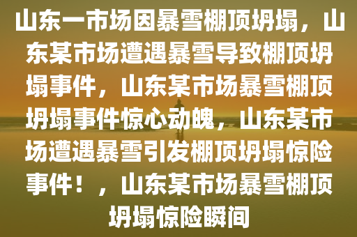 山东一市场因暴雪棚顶坍塌，山东某市场遭遇暴雪导致棚顶坍塌事件，山东某市场暴雪棚顶坍塌事件惊心动魄，山东某市场遭遇暴雪引发棚顶坍塌惊险事件！，山东某市场暴雪棚顶坍塌惊险瞬间