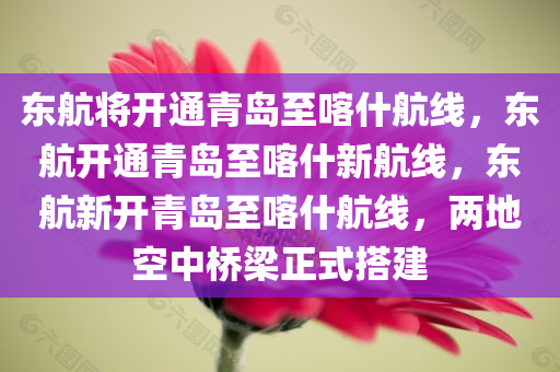 东航将开通青岛至喀什航线，东航开通青岛至喀什新航线，东航新开青岛至喀什航线，两地空中桥梁正式搭建