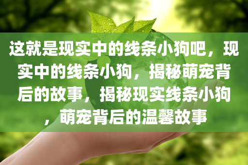 这就是现实中的线条小狗吧，现实中的线条小狗，揭秘萌宠背后的故事，揭秘现实线条小狗，萌宠背后的温馨故事