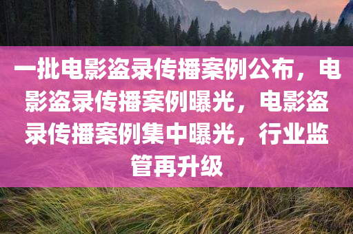 一批电影盗录传播案例公布，电影盗录传播案例曝光，电影盗录传播案例集中曝光，行业监管再升级