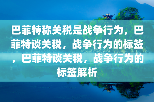 巴菲特称关税是战争行为，巴菲特谈关税，战争行为的标签，巴菲特谈关税，战争行为的标签解析