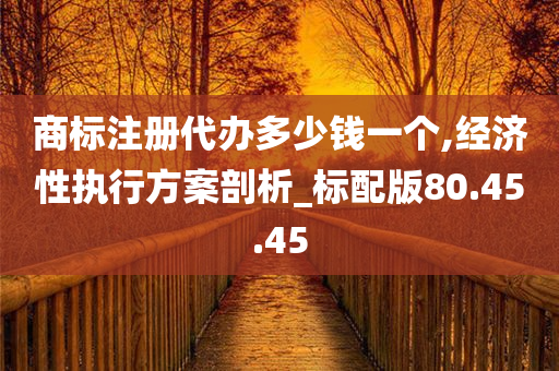 商标注册代办多少钱一个,经济性执行方案剖析_标配版80.45.45