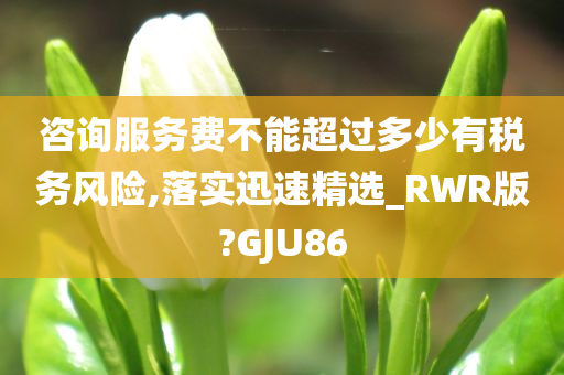 咨询服务费不能超过多少有税务风险,落实迅速精选_RWR版?GJU86