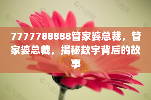 7777788888管家婆总裁，管家婆总裁，揭秘数字背后的故事