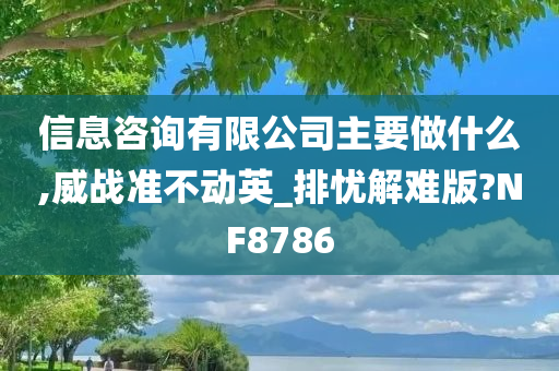 信息咨询有限公司主要做什么,威战准不动英_排忧解难版?NF8786