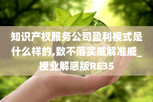 知识产权服务公司盈利模式是什么样的,数不落实威解准威_授业解惑版RE35