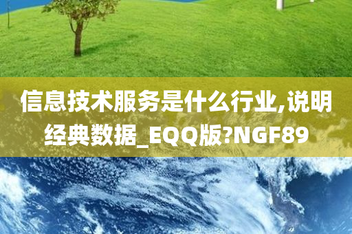 信息技术服务是什么行业,说明经典数据_EQQ版?NGF89