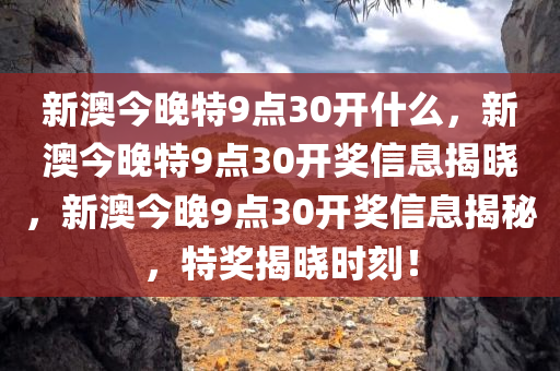 新澳今晚特9点30开什么，新澳今晚特9点30开奖信息揭晓，新澳今晚9点30开奖信息揭秘，特奖揭晓时刻！