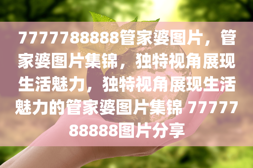 7777788888管家婆图片，管家婆图片集锦，独特视角展现生活魅力，独特视角展现生活魅力的管家婆图片集锦 7777788888图片分享