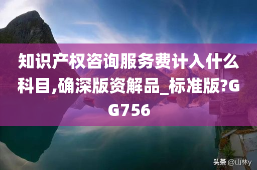 知识产权咨询服务费计入什么科目,确深版资解品_标准版?GG756