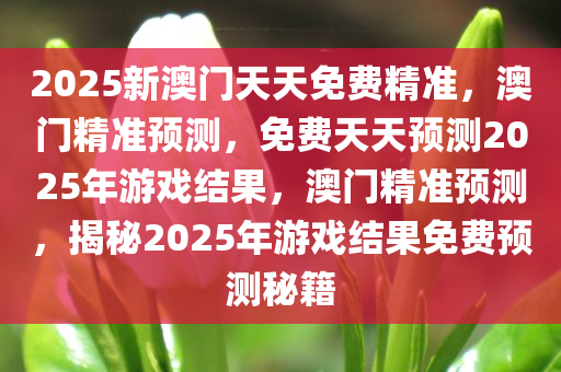 2025新澳门天天免费精准，澳门精准预测，免费天天预测2025年游戏结果，澳门精准预测，揭秘2025年游戏结果免费预测秘籍