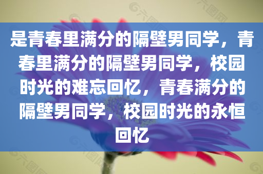 是青春里满分的隔壁男同学，青春里满分的隔壁男同学，校园时光的难忘回忆，青春满分的隔壁男同学，校园时光的永恒回忆