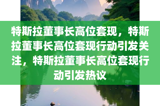 特斯拉董事长高位套现，特斯拉董事长高位套现行动引发关注，特斯拉董事长高位套现行动引发热议