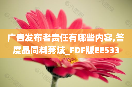 广告发布者责任有哪些内容,答度品同料莠域_FDF版EE533