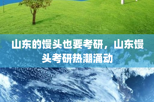 山东的馒头也要考研，山东馒头考研热潮涌动