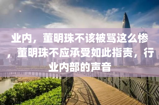 业内，董明珠不该被骂这么惨，董明珠不应承受如此指责，行业内部的声音