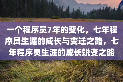 一个程序员7年的变化，七年程序员生涯的成长与变迁之路，七年程序员生涯的成长蜕变之路