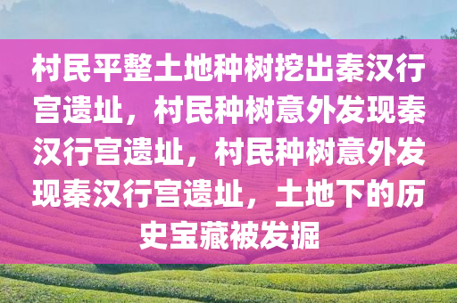 村民平整土地种树挖出秦汉行宫遗址，村民种树意外发现秦汉行宫遗址，村民种树意外发现秦汉行宫遗址，土地下的历史宝藏被发掘