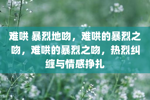 难哄 暴烈地吻，难哄的暴烈之吻，难哄的暴烈之吻，热烈纠缠与情感挣扎