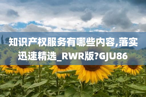 知识产权服务有哪些内容,落实迅速精选_RWR版?GJU86