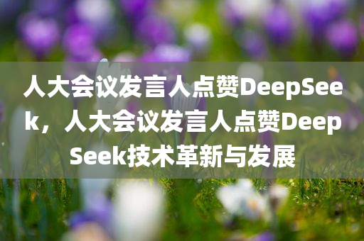 人大会议发言人点赞DeepSeek，人大会议发言人点赞DeepSeek技术革新与发展