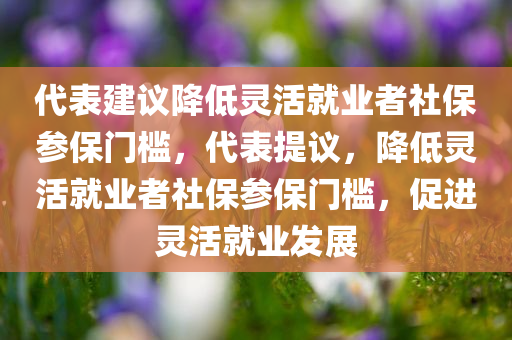 代表建议降低灵活就业者社保参保门槛，代表提议，降低灵活就业者社保参保门槛，促进灵活就业发展