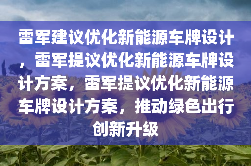 雷军建议优化新能源车牌设计，雷军提议优化新能源车牌设计方案