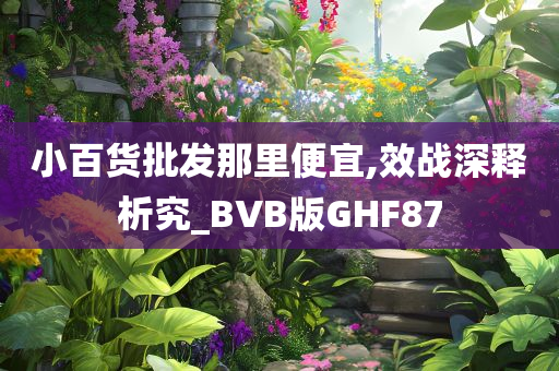 小百货批发那里便宜,效战深释析究_BVB版GHF87