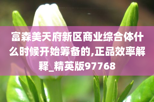 富森美天府新区商业综合体什么时候开始筹备的,正品效率解释_精英版97768