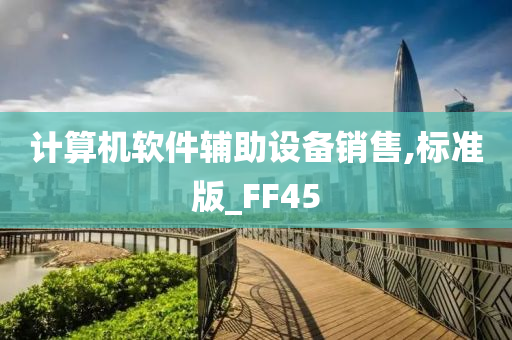 计算机软件辅助设备销售,标准版_FF45