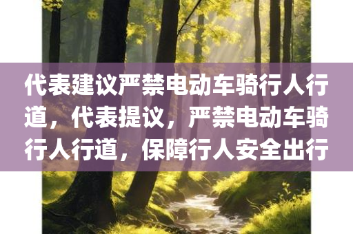 代表建议严禁电动车骑行人行道，代表提议，严禁电动车骑行人行道，保障行人安全出行