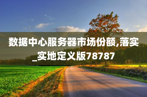 数据中心服务器市场份额,落实_实地定义版78787