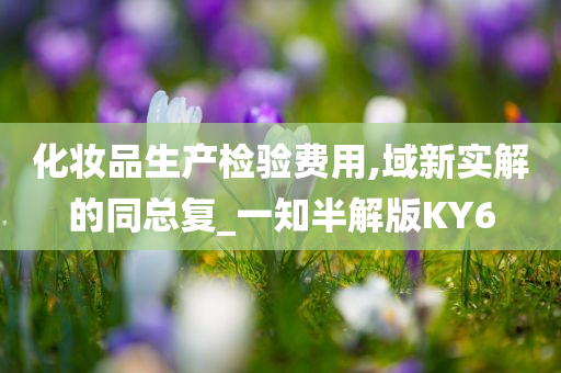 化妆品生产检验费用,域新实解的同总复_一知半解版KY6