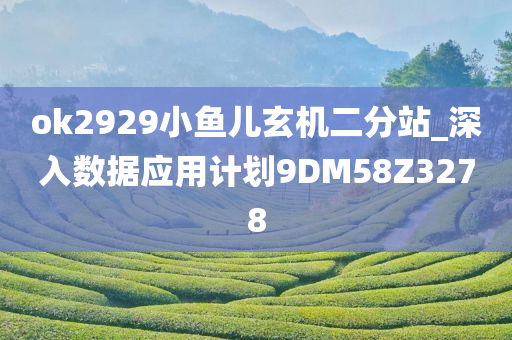 ok2929小鱼儿玄机二分站_深入数据应用计划9DM58Z3278