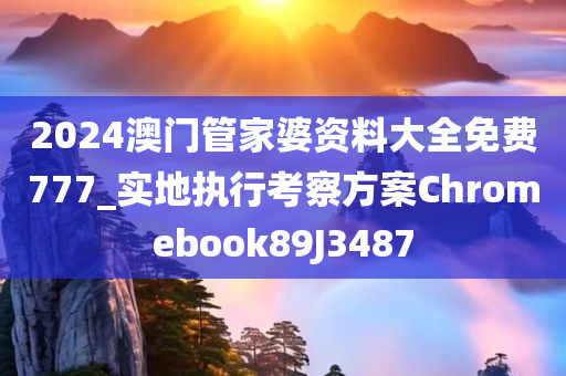 2024澳门管家婆资料大全免费777_实地执行考察方案Chromebook89J3487