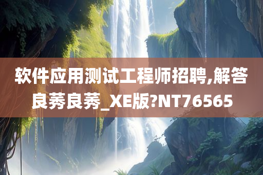 软件应用测试工程师招聘,解答良莠良莠_XE版?NT76565