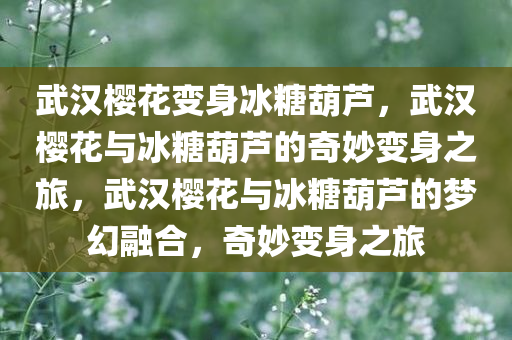 武汉樱花变身冰糖葫芦，武汉樱花与冰糖葫芦的奇妙变身之旅，武汉樱花与冰糖葫芦的梦幻融合，奇妙变身之旅