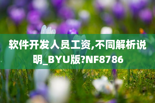 软件开发人员工资,不同解析说明_BYU版?NF8786