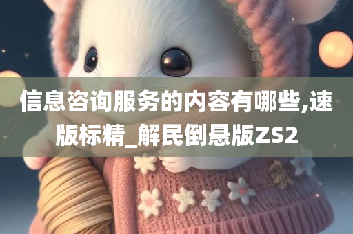 信息咨询服务的内容有哪些,速版标精_解民倒悬版ZS2