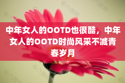 中年女人的OOTD也很酷，中年女人的OOTD时尚风采不减青春岁月