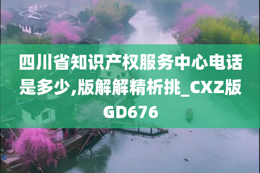 四川省知识产权服务中心电话是多少,版解解精析挑_CXZ版GD676