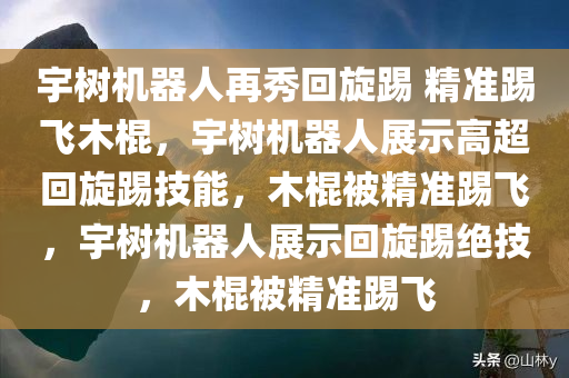 宇树机器人再秀回旋踢 精准踢飞木棍，宇树机器人展示高超回旋踢技能，木棍被精准踢飞，宇树机器人展示回旋踢绝技，木棍被精准踢飞