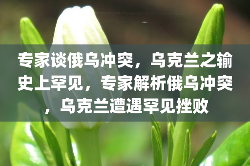 专家谈俄乌冲突，乌克兰之输史上罕见，专家解析俄乌冲突，乌克兰遭遇罕见挫败