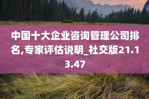 中国十大企业咨询管理公司排名,专家评估说明_社交版21.13.47