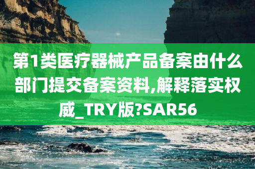 第1类医疗器械产品备案由什么部门提交备案资料,解释落实权威_TRY版?SAR56