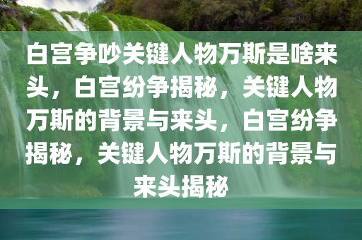 白宫争吵关键人物万斯是啥来头，白宫纷争揭秘，关键人物万斯的背景与来头，白宫纷争揭秘，关键人物万斯的背景与来头揭秘