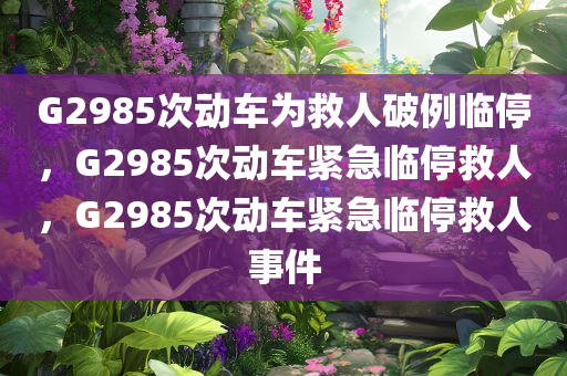 G2985次动车为救人破例临停，G2985次动车紧急临停救人，G2985次动车紧急临停救人事件