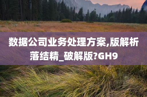 数据公司业务处理方案,版解析落结精_破解版?GH9