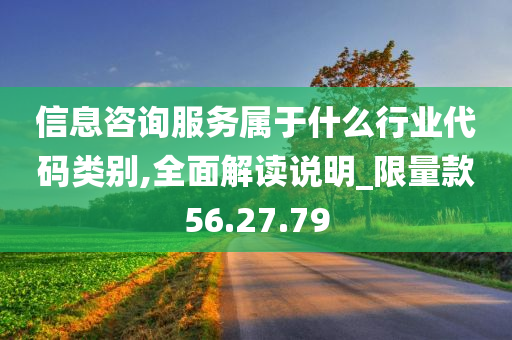 信息咨询服务属于什么行业代码类别,全面解读说明_限量款56.27.79